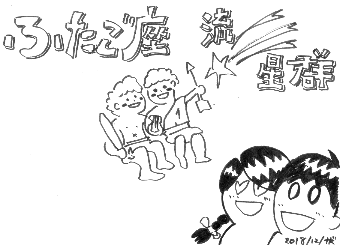 ふたご座流星群を見よう 身近な光 ブログ あかりと光の情報局